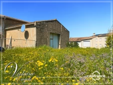 Character Property to Renovate with Building Land – High Investment Potential – South of France (Oupia, Minervois)