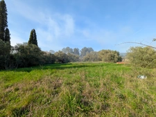 Spacious Land with Building Potential – 3,730 sqm – South of France Countryside