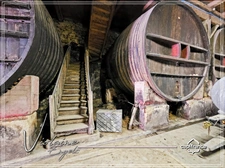 Domaine viticole d’exception de 63 ha – AOP Minervois – Fort potentiel œnotouristique