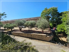 Domaine viticole d’exception de 63 ha – AOP Minervois – Fort potentiel œnotouristique