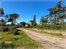 Mas en pierre & vignoble AOC – Domaine rare avec potentiel œnotouristique - Minervois