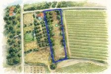 Spacious Land with Building Potential – 3,730 sqm – South of France Countryside