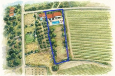 Spacious Land with Building Potential – 3,730 sqm – South of France Countryside