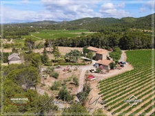 Domaine viticole d'exception de 47 hectares avec mas en pierre, gîtes et vignoble AOC Minervois – Hérault