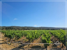 Domaine viticole d’exception de 63 ha – AOP Minervois – Fort potentiel œnotouristique
