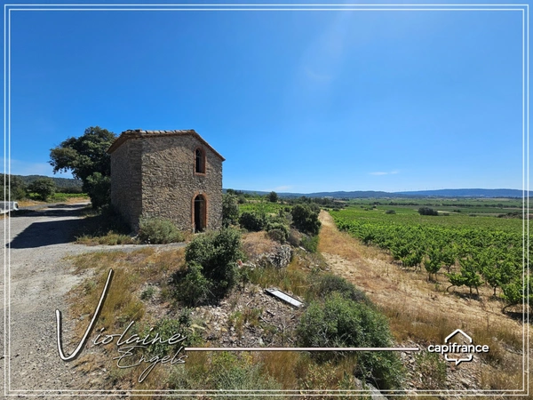 Domaine viticole d’exception de 63 ha – AOP Minervois – Fort potentiel œnotouristique