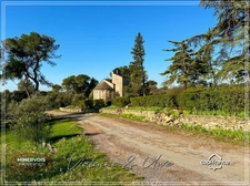 Mas en pierre & vignoble AOC – Domaine rare avec potentiel œnotouristique - Minervois