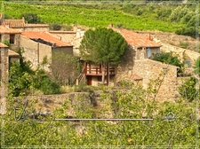 Minerve – Stone house with garden and open views – the ideal holiday home in one of the Most Beautiful Villages in France