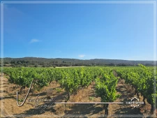 Domaine viticole d’exception de 63 ha – AOP Minervois – Fort potentiel œnotouristique