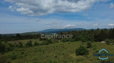 Large property with natural swimming pool - Provençal elegance between Mont Ventoux and Luberon - EXCLUSIVE LISTING