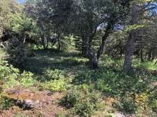 Terrain à vendre  SIMIANE LA ROTONDE (04)