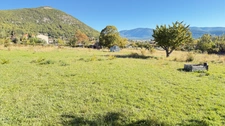 Rare à la vente : grand terrain constructible de 8085m2 avec vue panoramique à Banon (04)