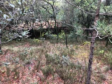 Terrain à vendre  SAINT SATURNIN LES APT (84) - Libre de constructeur