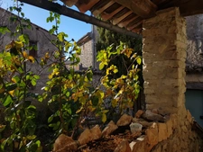 Exclusivité - Demeure d’exception du XVe siècle au cœur de la Provence - Saint Trinit (Vaucluse)