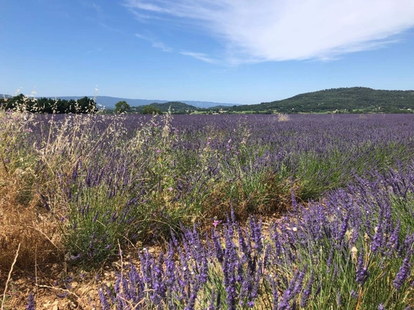 Habiter face au Colorado Provençal, une réalité...