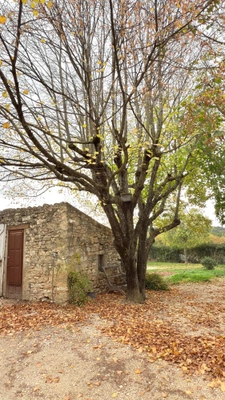 Former 19th-century Provençal farmhouse
