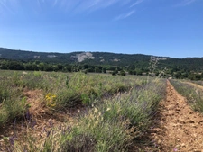 Habiter face au Colorado Provençal, une réalité...