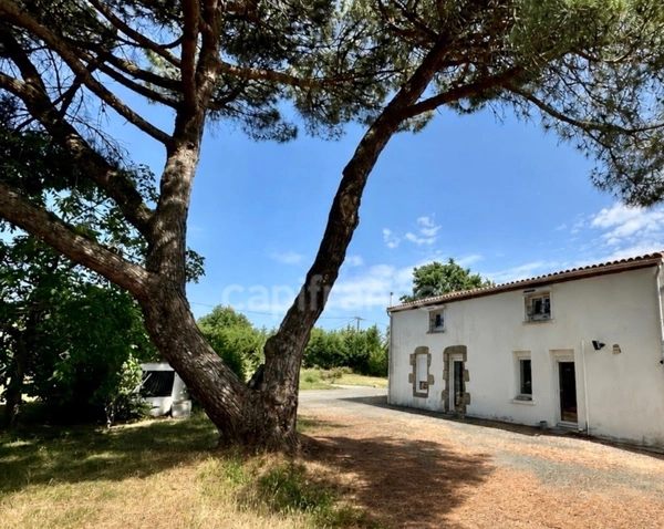 Longère offrant 4/5 chambres - MONTAIGU VENDEE (85)