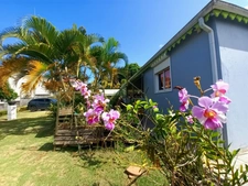 Maison viager à vendre 4 pièces BAIE MAHAULT (971)