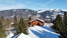 Haute Savoie (74), for sale MORILLON - Grand Massif ski resort - Savoyard Farm P9