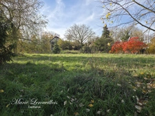 Terrain à vendre CHAOURCE (10)