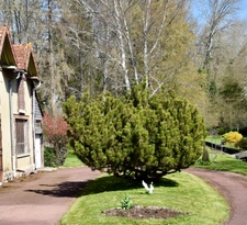 Dpt Aube (10), à vendre ESTISSAC maison P11   