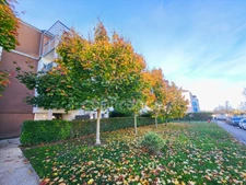 Appartement T2 avec grand balcon et garage