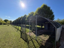 Maison à vendre 5 pièces UXEAU (71)