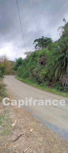 Terrain à bâtir de 7647 m² à vendre DEMBENI (976)