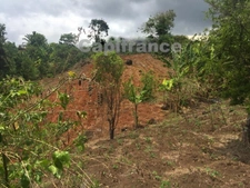 A vendre terrain à bâtir à Hajangoua Commune de DEMBENI (976), de 6 969,00 m²