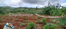 Terrain agricole à vendre de 167 518,00 m² COMBANI (976)