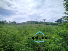 Terrain Agricole à vendre  DZAOUDZI (976)