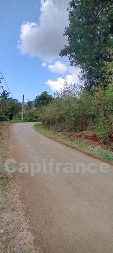 Terrain à bâtir de 7647 m² à vendre DEMBENI (976)