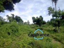 Terrain Agricole à vendre  DZAOUDZI (976)