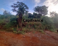 Terrain à bâtir - 500 m² à vendre - Kangani Commune de KOUNGOU (976)