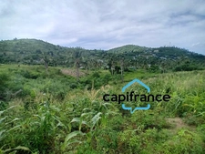 Terrain Agricole à vendre  DZAOUDZI (976)