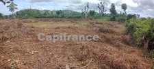 Terrain agricole à vendre de 167 518,00 m² COMBANI (976)
