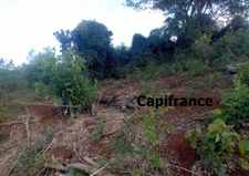 Terrain à bâtir - 500 m² à vendre - Kangani Commune de KOUNGOU (976)