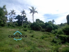 Terrain Agricole à vendre  DZAOUDZI (976)