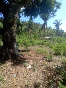 Terrain à bâtir à vendre Nyambadao Commune de BANDRÉLÉ (976)