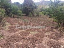 Terrain à bâtir de 1 500 m² à vendre  Commune DEMBENI (976)