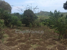 A vendre terrain à bâtir à Hajangoua Commune de DEMBENI (976), de 6 969,00 m²