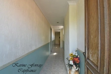 Winegrower's house with 775m2 land for sale 12 rooms PUISSERGUIER (34)