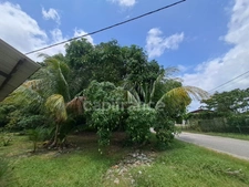 Dpt Guyane (973), à vendre  maison P8 de 300 m²  