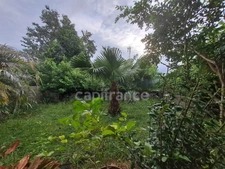 Dpt Guyane (973), à vendre T2 de 67,7 m² - Terrain de 0  - Plain pied