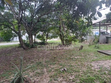 Dpt Guyane (973), à vendre  maison P8 de 300 m²  
