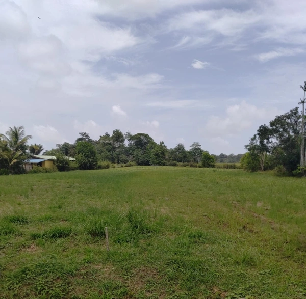 Terrain à vendre de 5 511,00 m² MONTSINERY TONNEGRANDE (973)