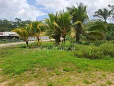 Dpt Guyane (973), à vendre  maison P8 de 300 m²  