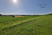 Maison à vendre 5 pièces proche de COLIGNY (01)
