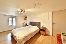 House for sale 10 rooms near MONTREVEL EN BRESSE (01)